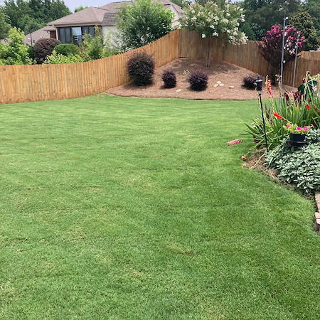 DIY vs. Professional Lawn Maintenance: When It’s Time To Call Trilogy Lawncare