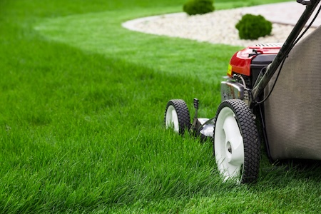 How to Keep Your Lawn Green and Healthy During South Carolina Summers