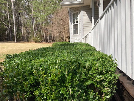 Why Regular Lawn Trimming and Edging Makes a Big Difference